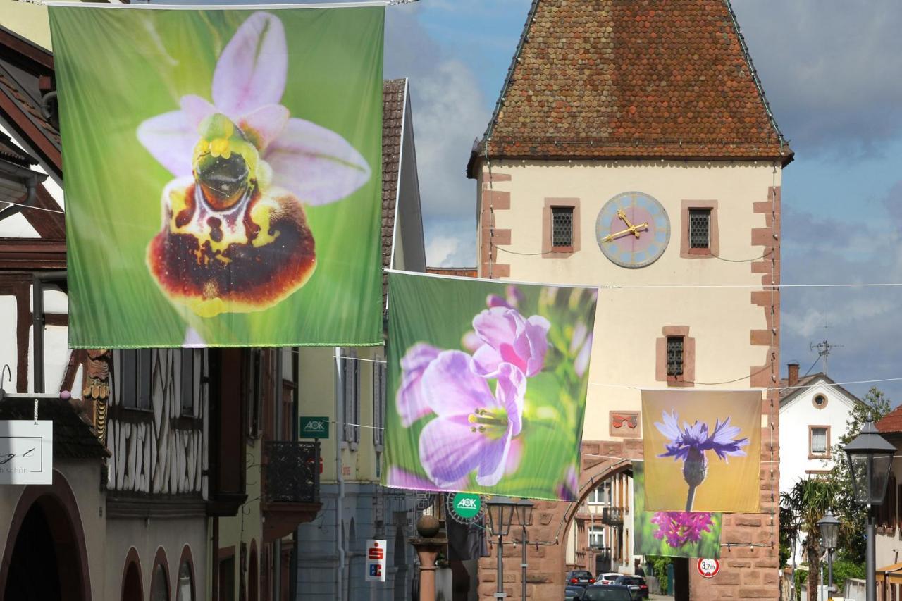 Tiptop Hotel Garni Pfauen Endingen am Kaiserstuhl Luaran gambar