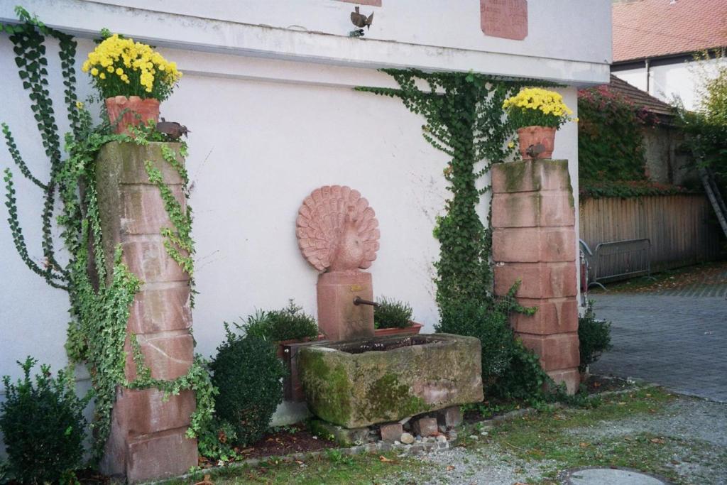 Tiptop Hotel Garni Pfauen Endingen am Kaiserstuhl Luaran gambar