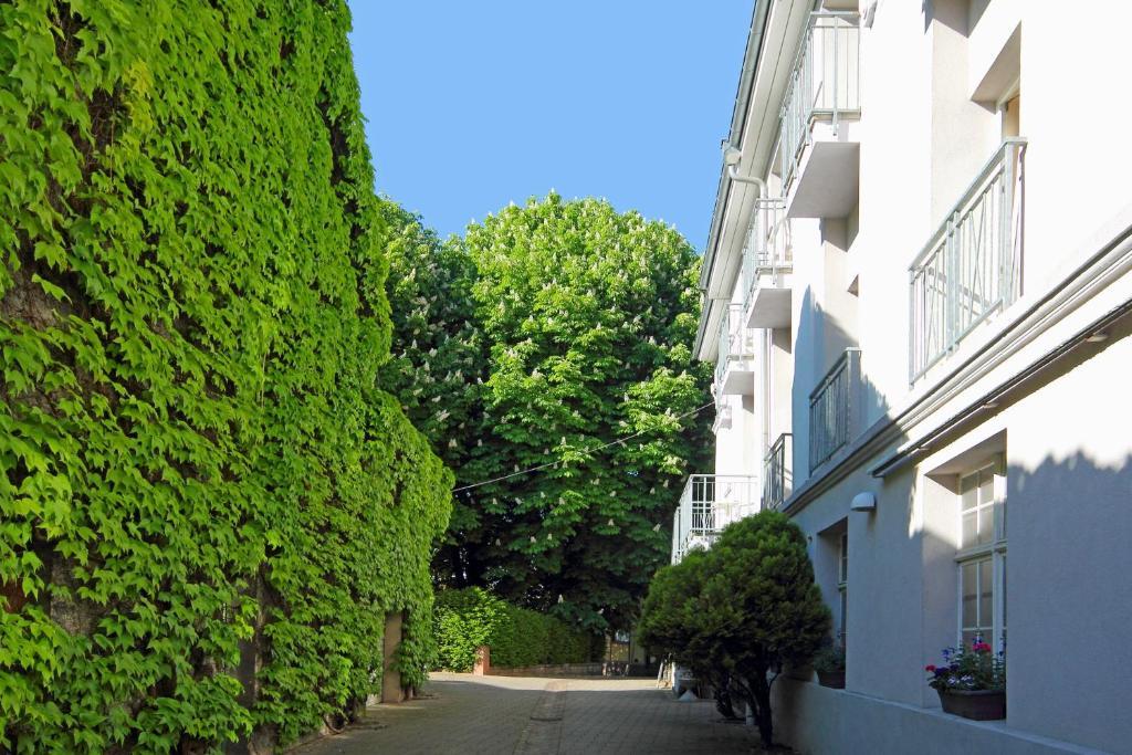 Tiptop Hotel Garni Pfauen Endingen am Kaiserstuhl Luaran gambar