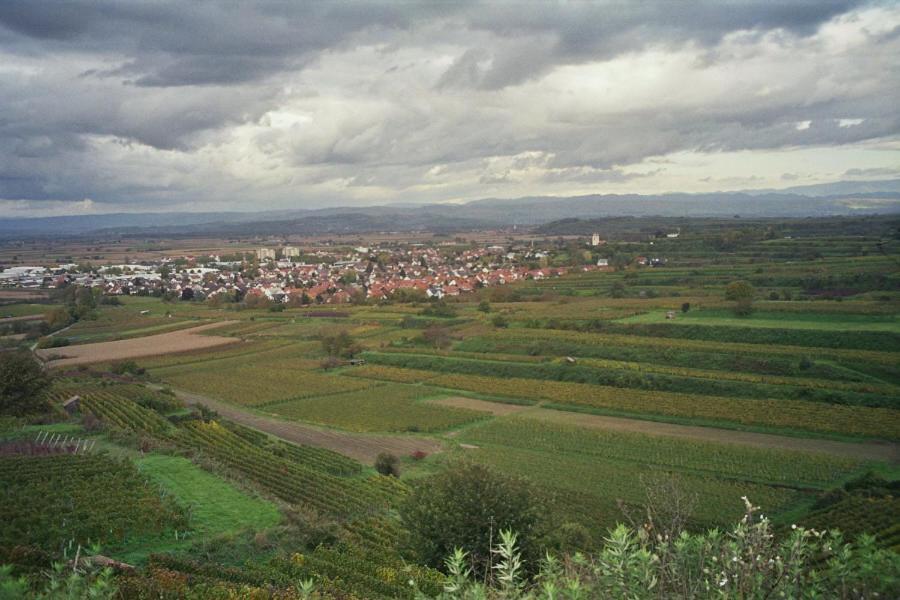 Tiptop Hotel Garni Pfauen Endingen am Kaiserstuhl Luaran gambar